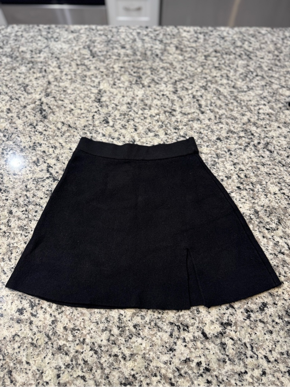 Altar'd State Black Circle Skirt